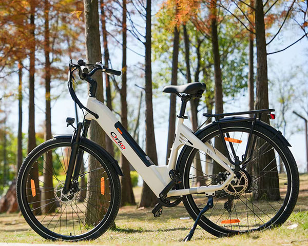 Orko Bike